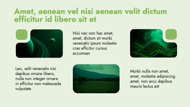 MellowForm Green Wellness slide 6